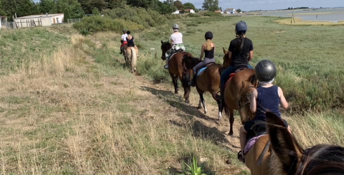 RANCH DE CACHAREL COURS DEQUITATION LAIGUILLON SUR MER Balade A Cheval