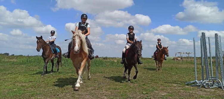 RANCH DE CACHAREL COURS DEQUITATION LAIGUILLON SUR MER Cours Dequitation Poney Et Cheval