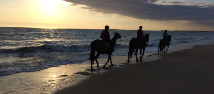 RANCH DE CACHAREL COURS DEQUITATION LAIGUILLON SUR MER Pause Detente A Cheval Et En Bord De Mer