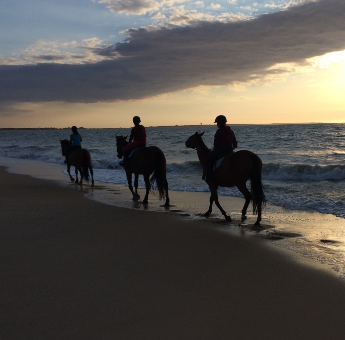 RANCH DE CACHAREL COURS DEQUITATION LAIGUILLON SUR MER Randonnees A Cheval A LAiguillon Sur Mer