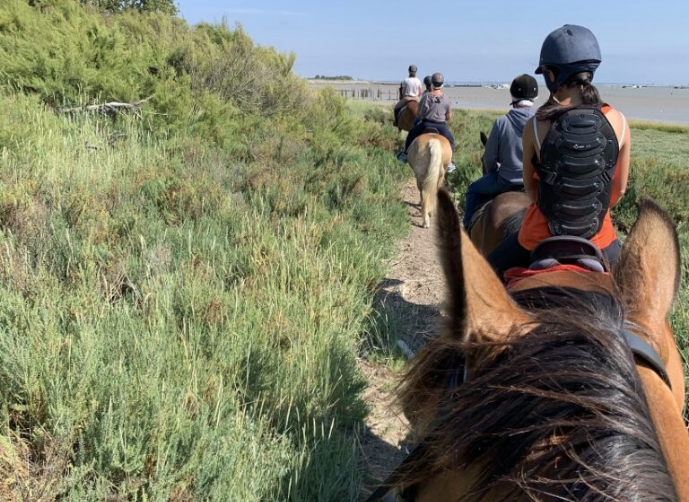 RANCH DE CACHAREL COURS DEQUITATION LAIGUILLON SUR MER Bloc Balade