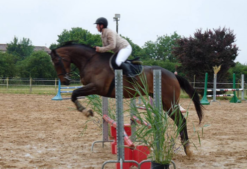 RANCH DE CACHAREL COURS DEQUITATION LAIGUILLON SUR MER Equitation